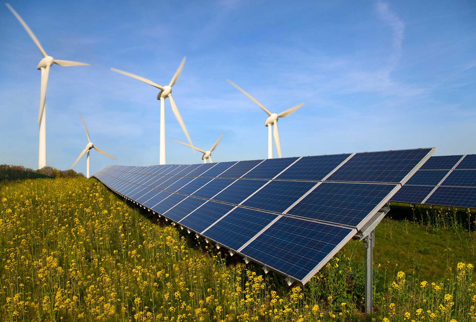 Im Vordergrund sieht man Solarmodule, im Hintergrund Windräder vor blauem Himmel